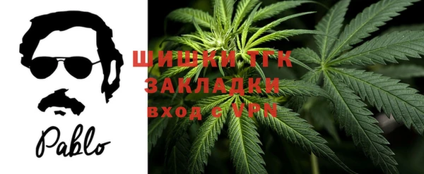 гидра Пестово
