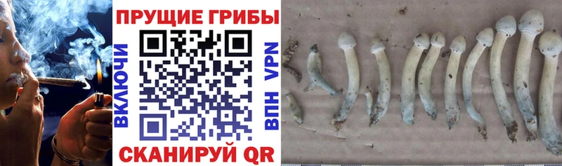 Псилоцибиновые грибы мухоморы  Ишимбай 