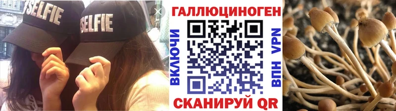 Галлюциногенные грибы Psilocybine cubensis Ишимбай